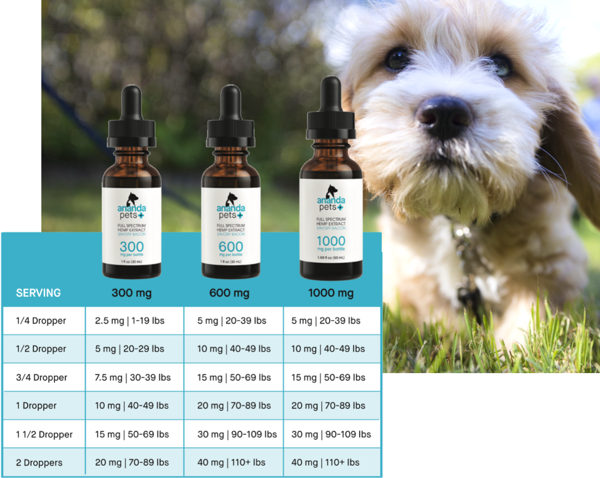 Ananda Pets Tincture - Bacon